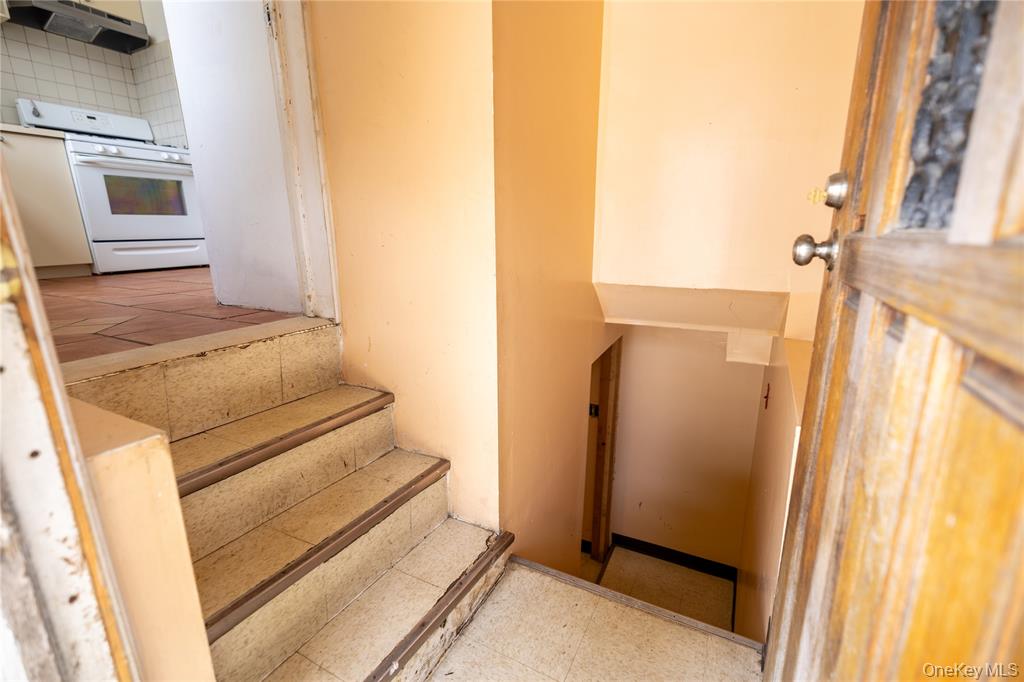 2941 Middletown Road, New York NY 10461 图27