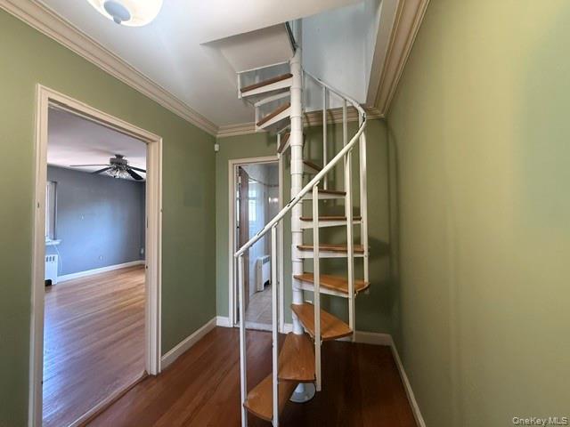 1922 Hering Avenue, New York NY 10461 图16