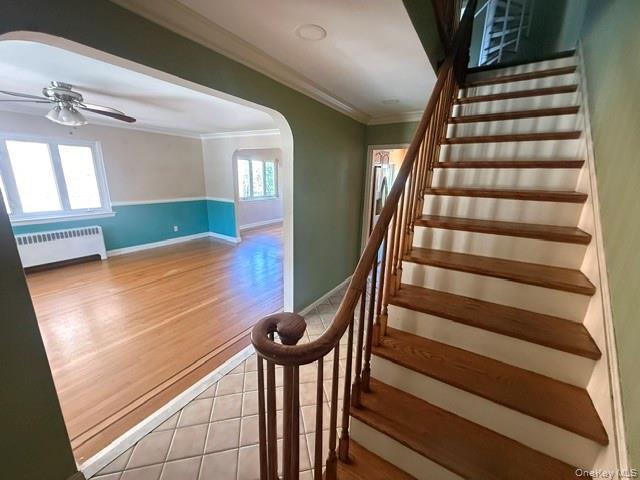 1922 Hering Avenue, New York NY 10461 图10