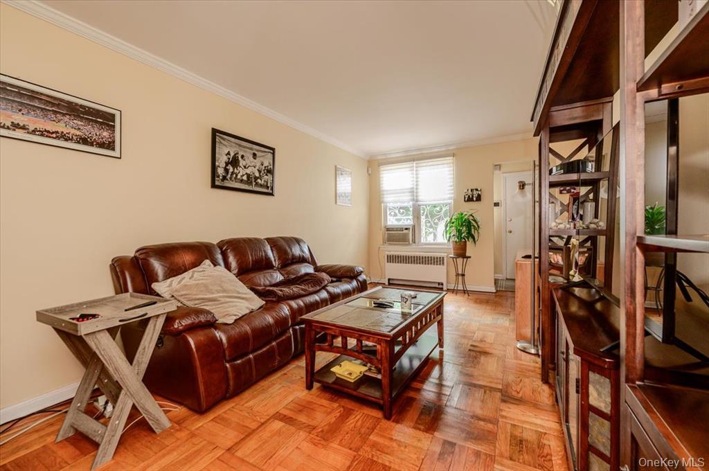 1103 Rhinelander Avenue, New York NY 10461 图21